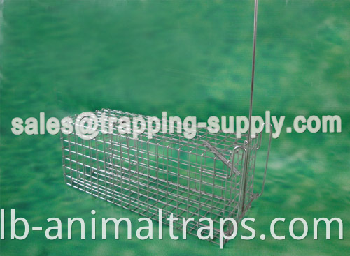 Small Single Rat Cage Trap